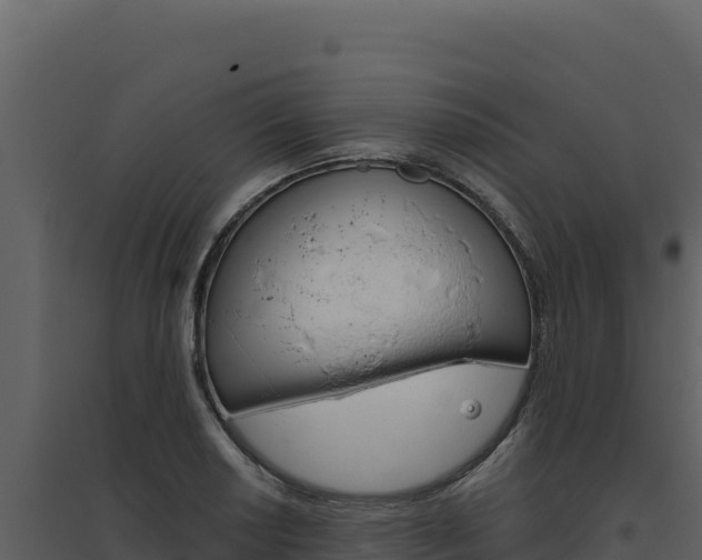 X0000094811034200711160959