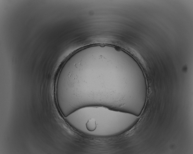 X0000094811035200711160959