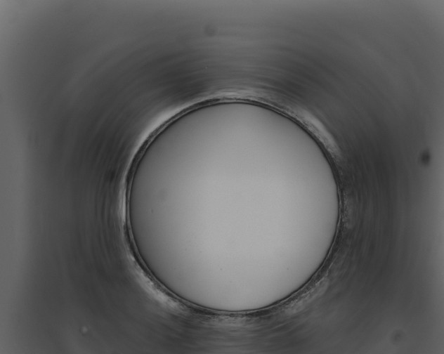 X0000094811036200711160959