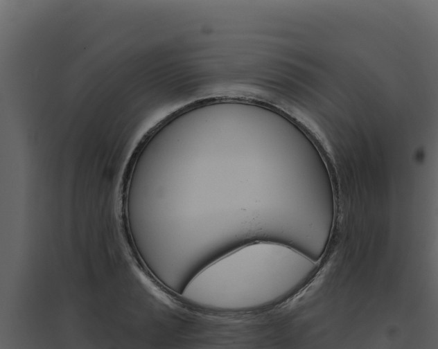 X0000094811037200711160959