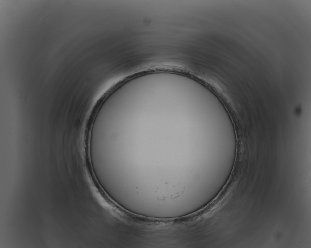 X0000094811038200711160959