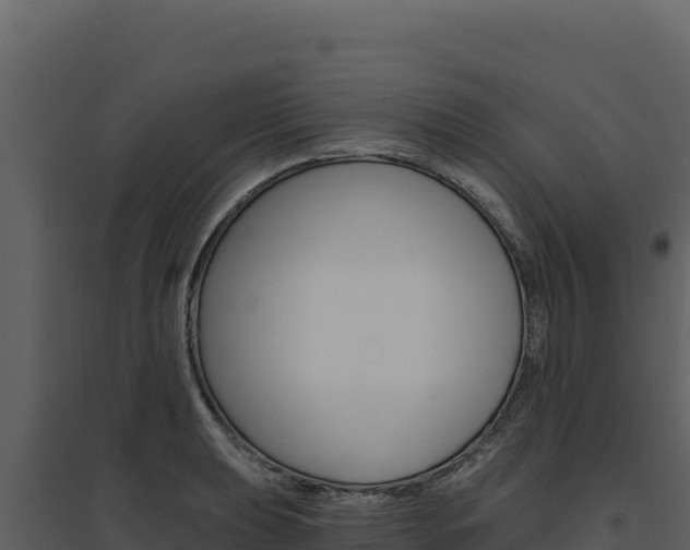 X0000094811039200711160959