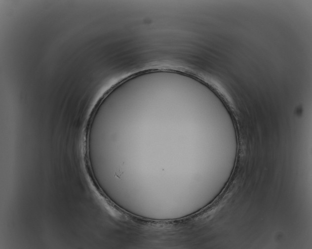 X0000094811040200711160959