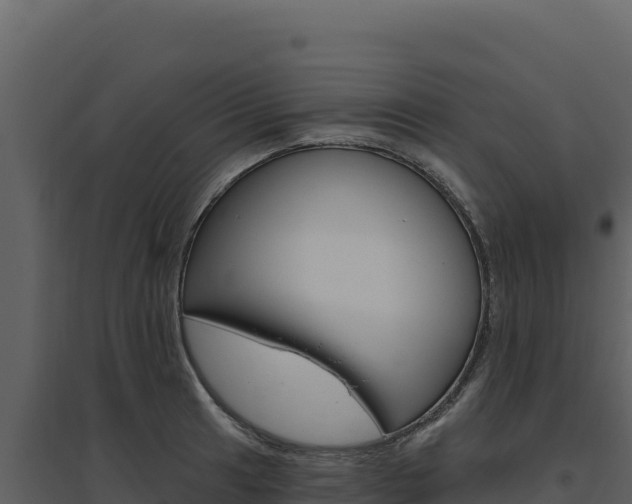X0000094811041200711160959