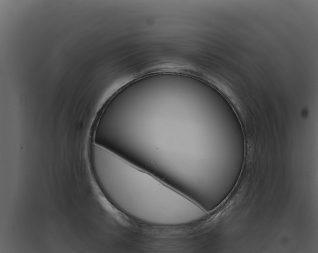 X0000094811042200711160959