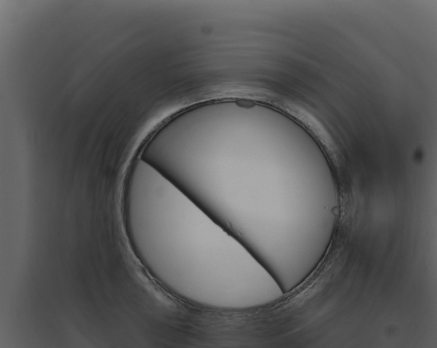 X0000094811043200711160959