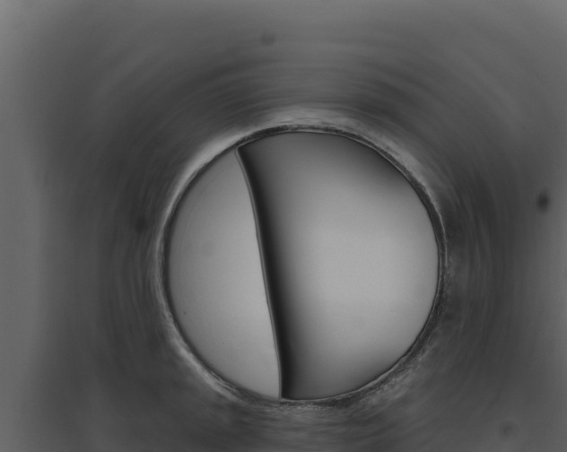 X0000094811045200711160959