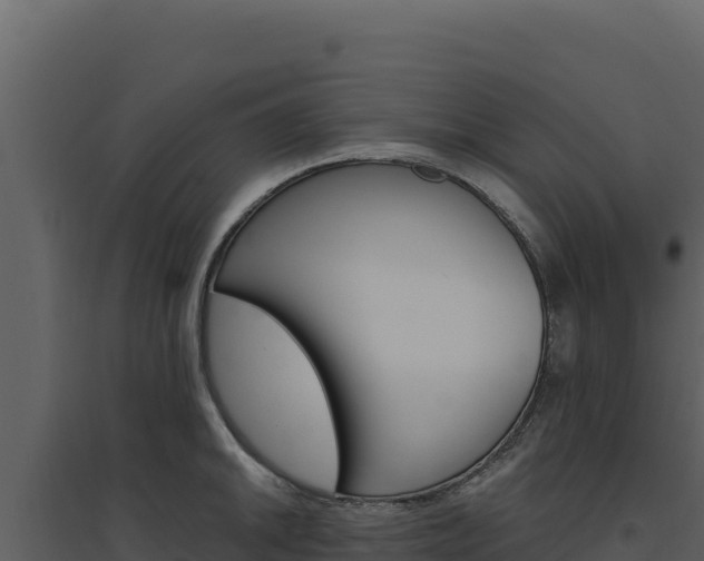 X0000094811046200711160959