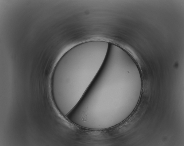 X0000094811048200711160959