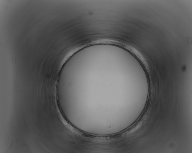 X0000094811049200711160959