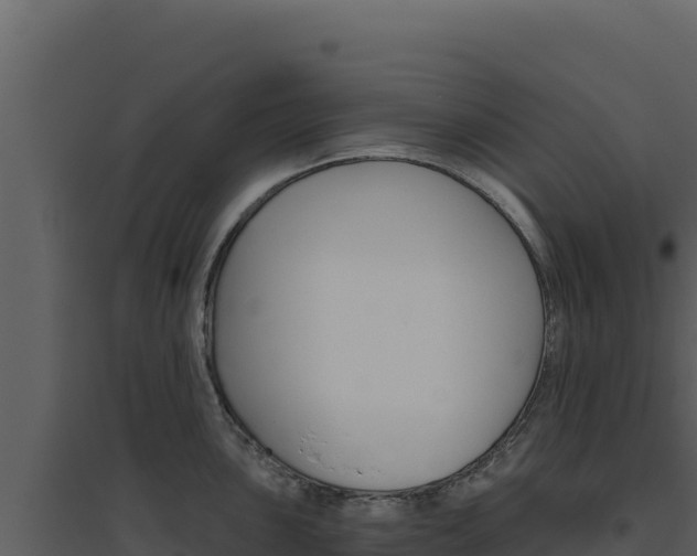 X0000094811051200711160959