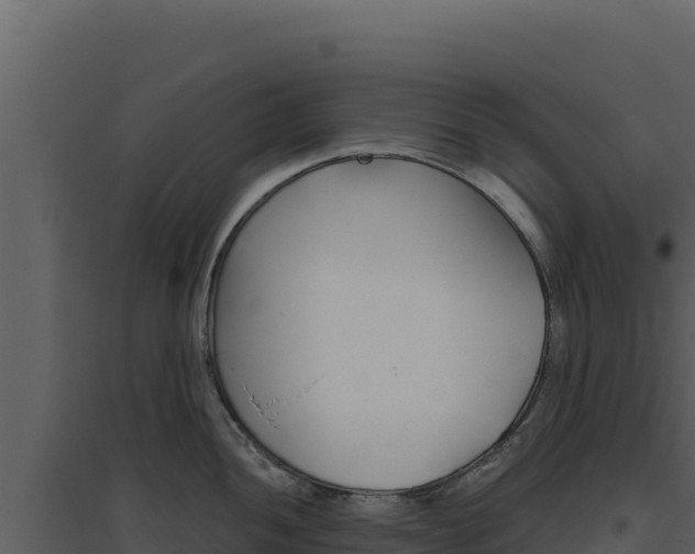 X0000094811052200711160959