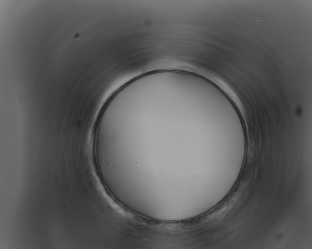 X0000094811053200711160959