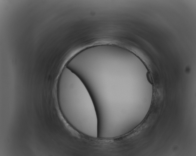 X0000094811055200711160959
