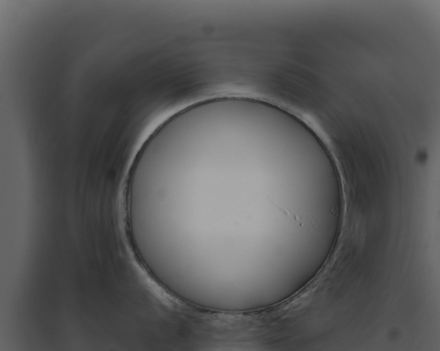 X0000094811056200711160959