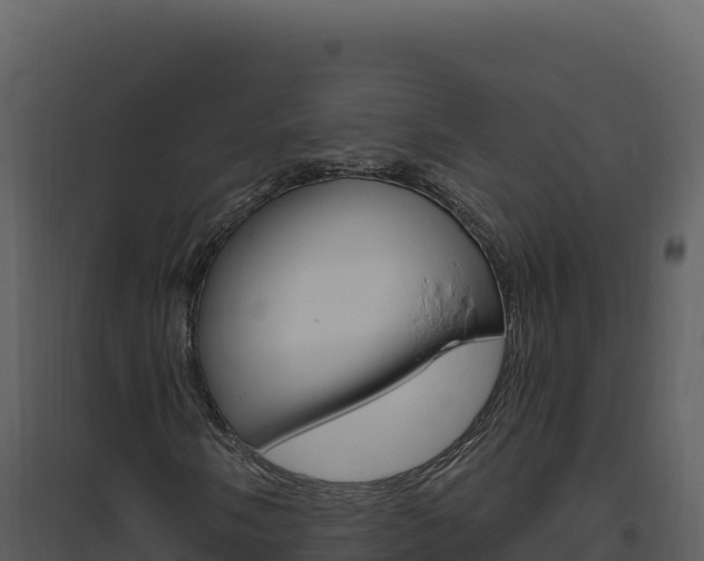 X0000094811058200711160959