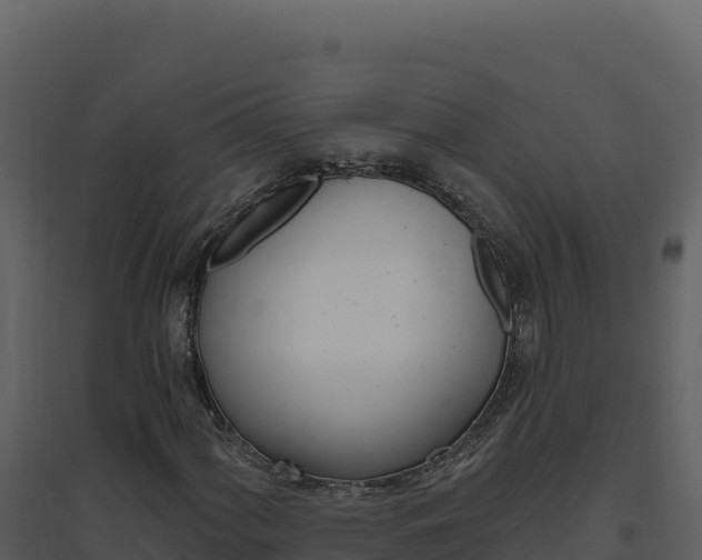 X0000094811060200711160959