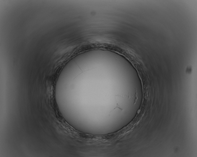 X0000094811061200711160959