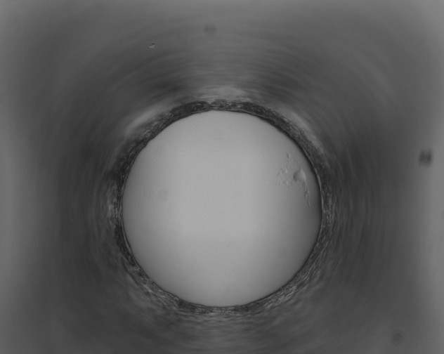 X0000094811063200711160959