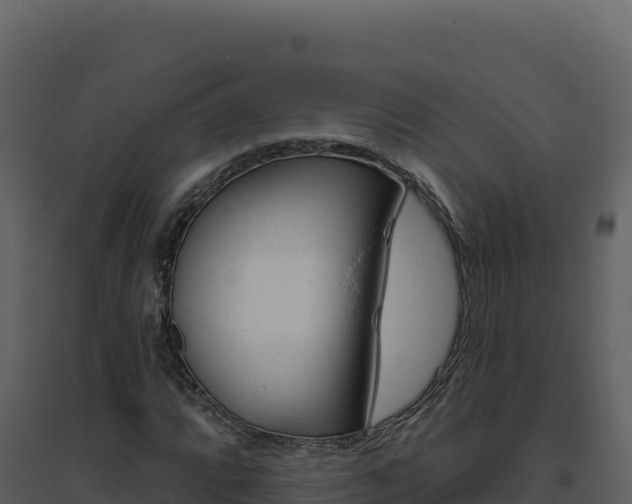 X0000094811064200711160959
