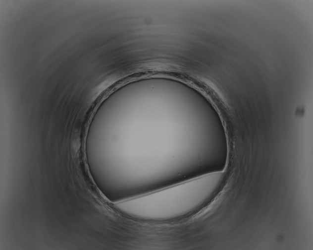 X0000094811065200711160959