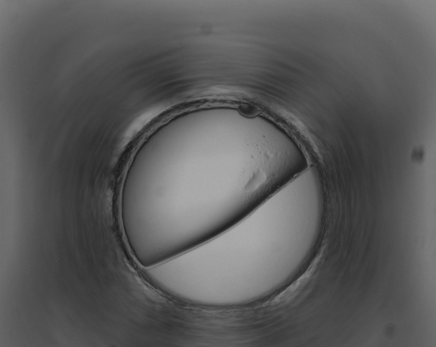 X0000094811066200711160959