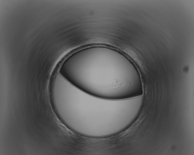 X0000094811068200711160959