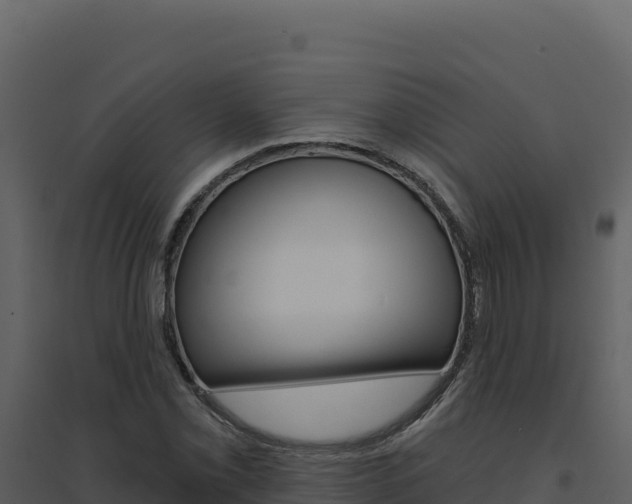 X0000094811069200711160959