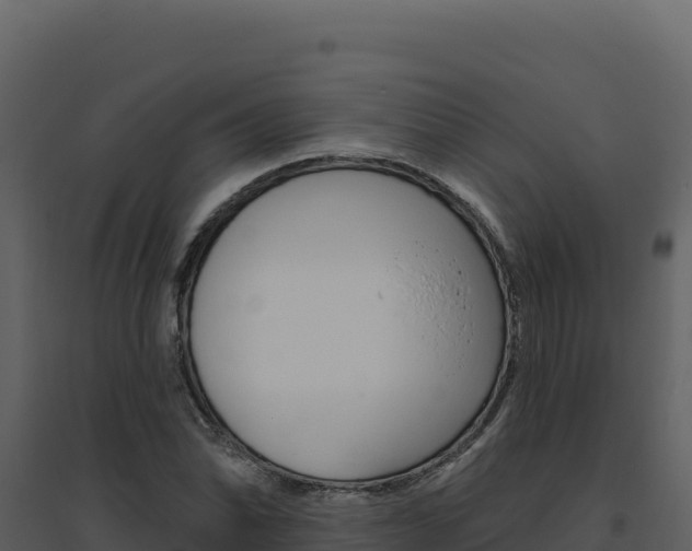 X0000094811070200711160959