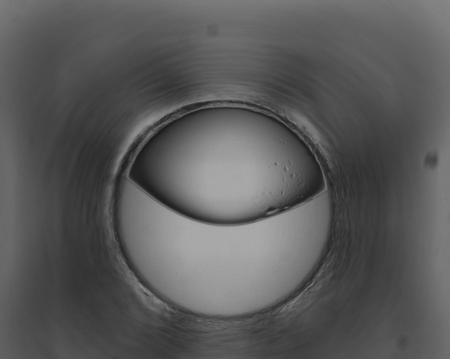 X0000094811072200711160959