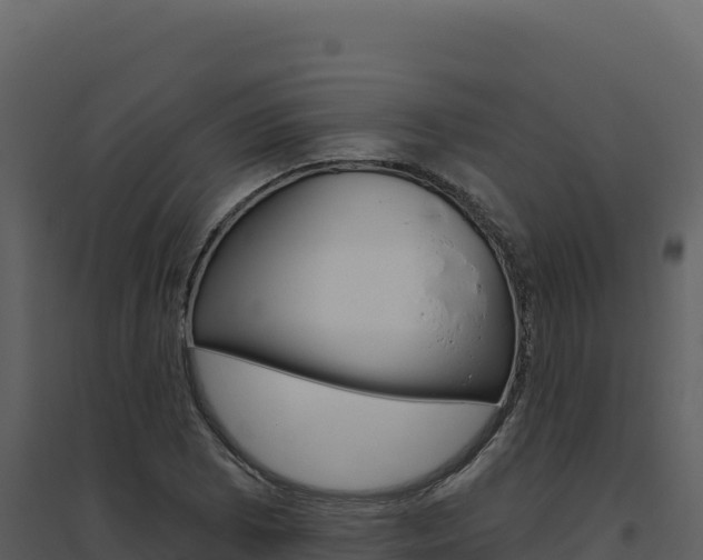 X0000094811073200711160959