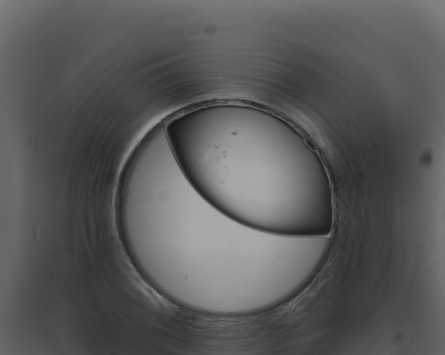 X0000094811076200711160959