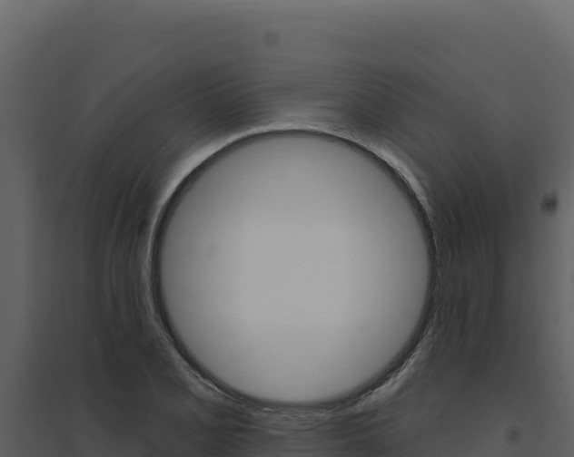 X0000094811077200711160959