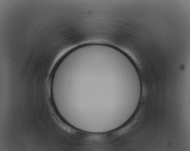 X0000094811078200711160958