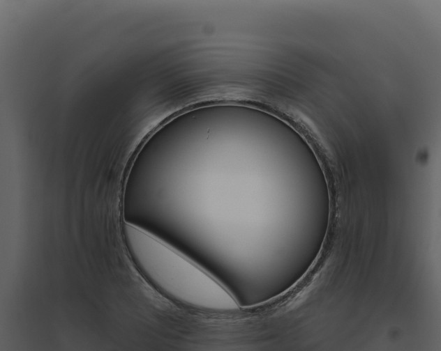 X0000094811081200711160958