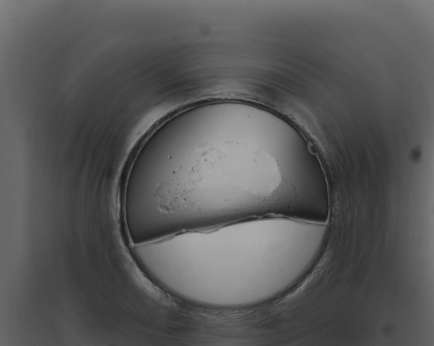 X0000094811082200711160958