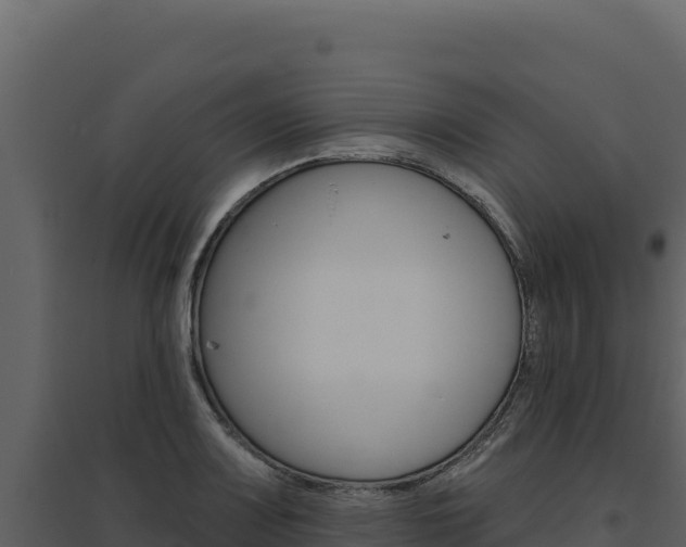 X0000094811083200711160958