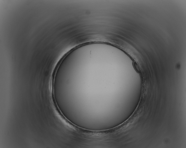 X0000094811084200711160958