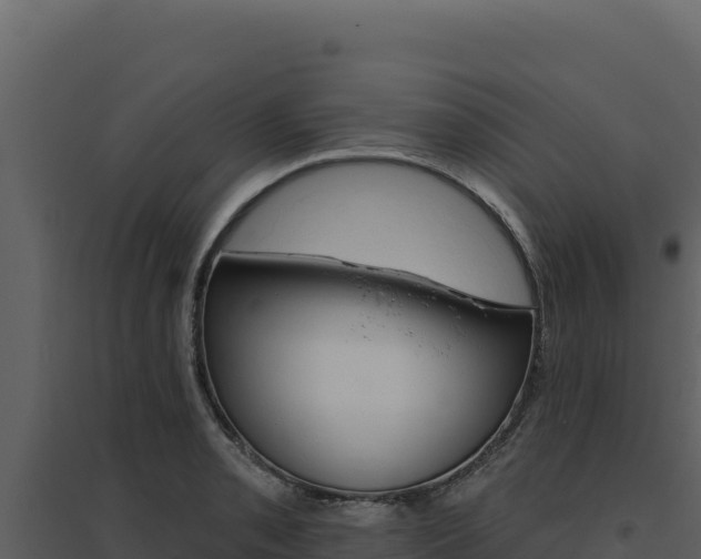 X0000094811085200711160958