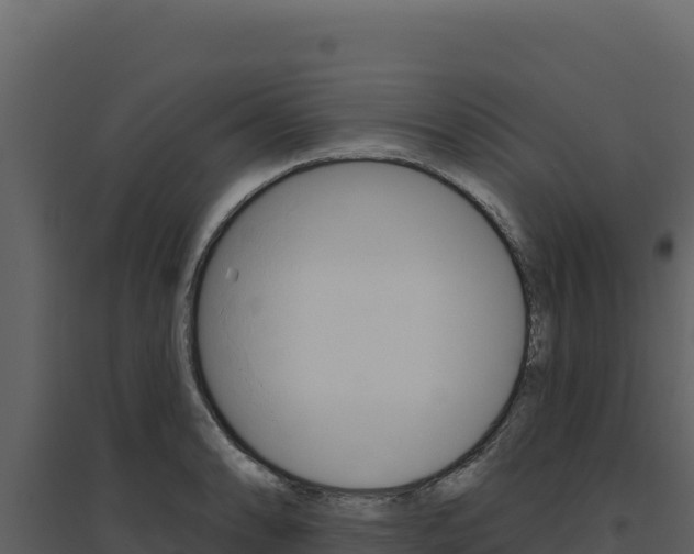 X0000094811086200711160958
