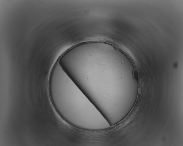X0000094811087200711160958