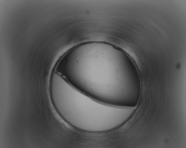 X0000094811088200711160958
