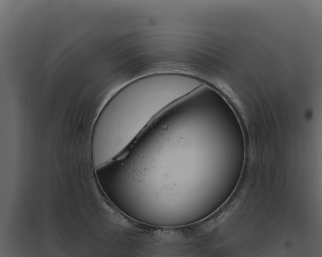 X0000094811089200711160958
