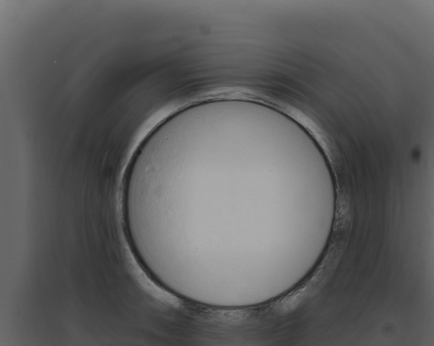 X0000094811090200711160958
