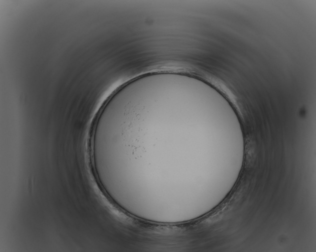 X0000094811091200711160958