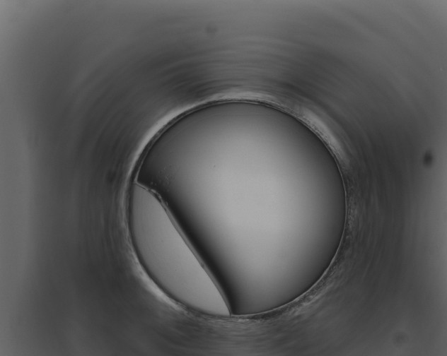 X0000094811092200711160958