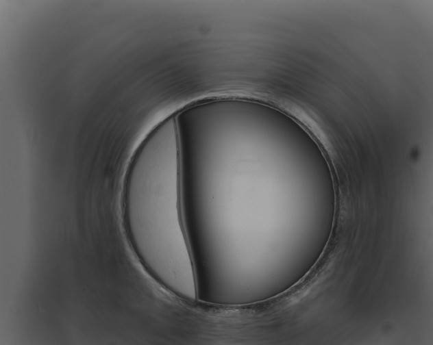 X0000094811093200711160958