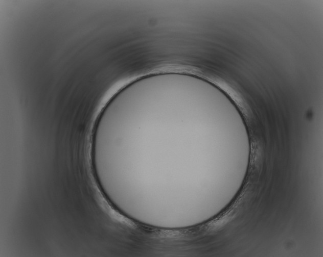 X0000094811094200711160958