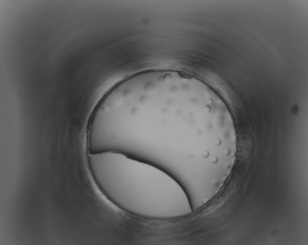 X0000094811095200711160958