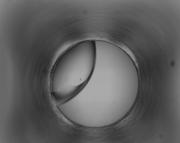 X0000094811096200711160958
